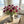 Vibrant pink flowers in a vase on a wooden table by the beach, lighthouse visible through windows.