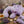 Lavender dot neck pillow from Sonoma Lavender featuring a soft, contoured design for neck relaxation and comfort.