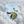 Hester & Cook 