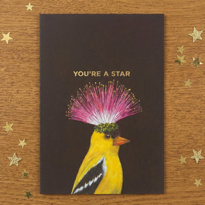 Goldfinch greeting card by HnC featuring "You're a Star" design, 4.25 x 5.5 inches, with colorful star and bird illustration.