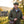 Man in a green quilted jacket and flat cap, holding a stick, stands by a cottage in autumn.