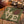 Green napkin with 