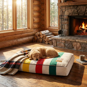 Golden retriever puppy sleeps on a striped cushion by a stone fireplace in a log cabin with sunlight.