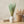 Vase with green foliage, beige basket with pampas grass, and folded linens on a wooden table.