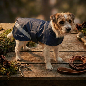 Small dog in a blue raincoat stands on wood, surrounded by pine cones and a brown leash.