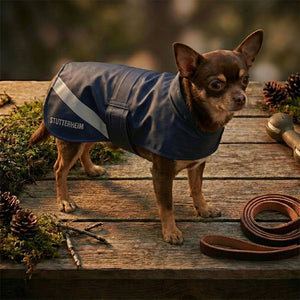 Brown Chihuahua in blue raincoat on rustic wooden table, surrounded by pinecones and moss.