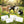 NOTECARDS- Dog Days Little Notes®