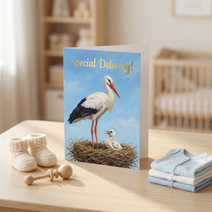 Baby stork greeting card by HnC featuring gold foil accents and "Special Delivery" message, perfect for new baby congratulations.