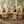 Cute CCOI stuffed animal toy, soft plush nursery decor and toy for children, featuring colorful, cuddly animal design.