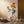 FLOWERS-25'' Silk Rose Flower Single Spray Home/Wedding Decor Orange