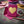 GREETING CARD- Pink Heart Card - 4.25 x 5.5