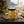 KITCHEN- FOOD- SAN JUAN ISLAND, WA, Garlic & Friends Seasoning Blend