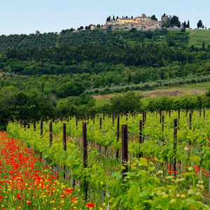 BOOK - Fifty Places to Drink Wine Before You Die