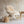 SHEEPSKIN- Texal Sheepskin