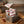 KITCHEN TOWELS- Vintage Farmhouse Retro Red Stripe Dish Towels-Set of 3