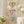 Video for GARLAND-Suzani Print-Large Heart Paper Garland
